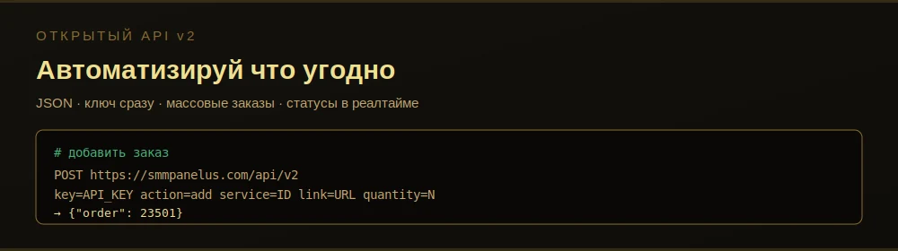 zn_api.webp